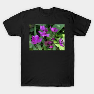 Forest Bathing with the Perfectly Pure Purple Wildflower T-Shirt